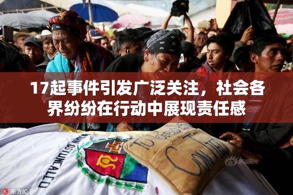 17起事件引发广泛关注，社会各界纷纷在行动中展现责任感