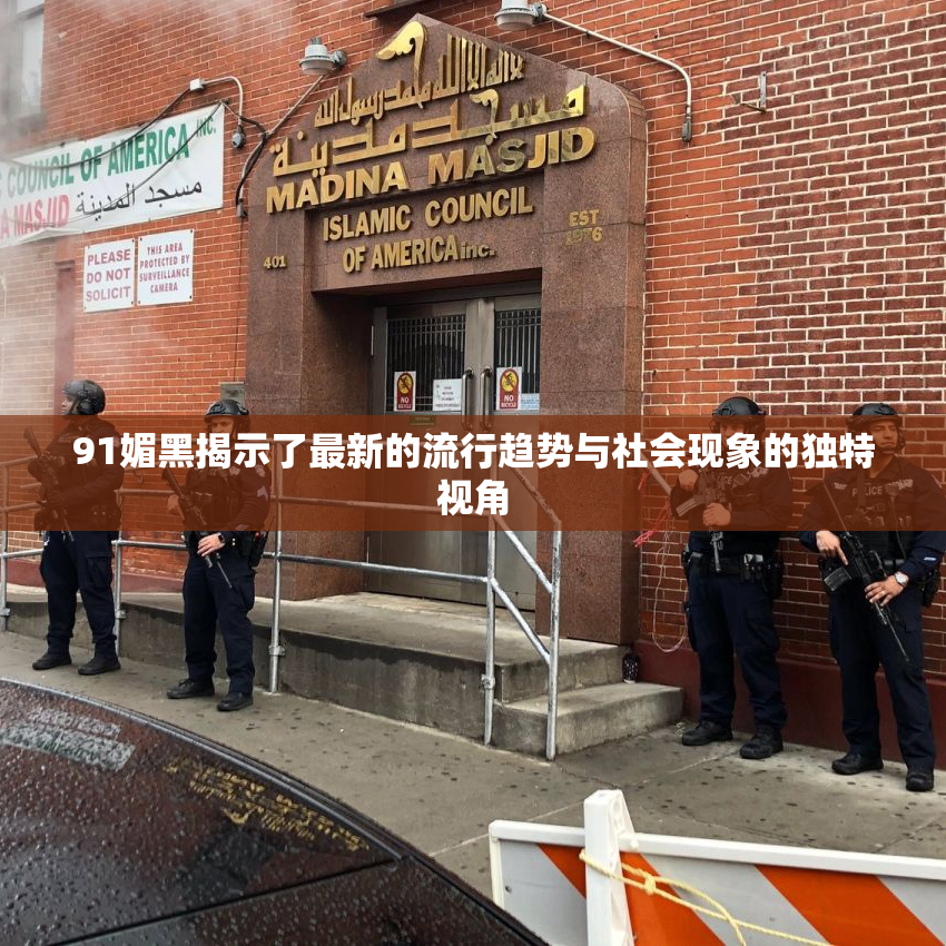 91媚黑揭示了最新的流行趋势与社会现象的独特视角