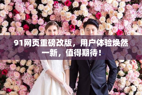 91网页重磅改版，用户体验焕然一新，值得期待！
