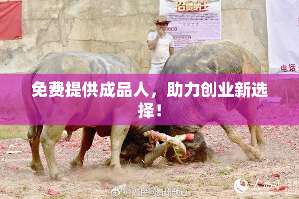 免费提供成品人，助力创业新选择！