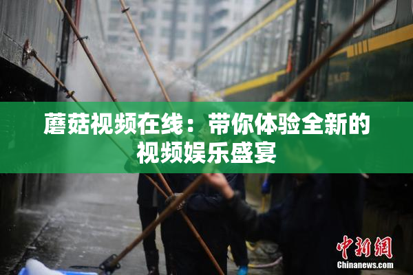 蘑菇视频在线：带你体验全新的视频娱乐盛宴