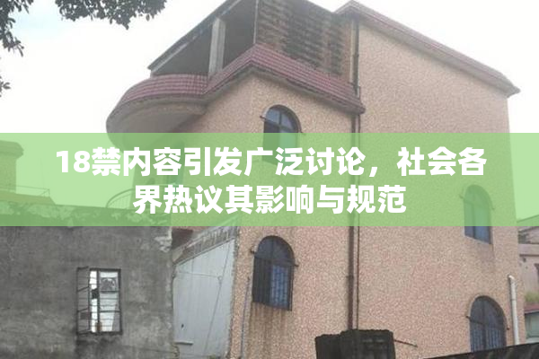 18禁内容引发广泛讨论，社会各界热议其影响与规范