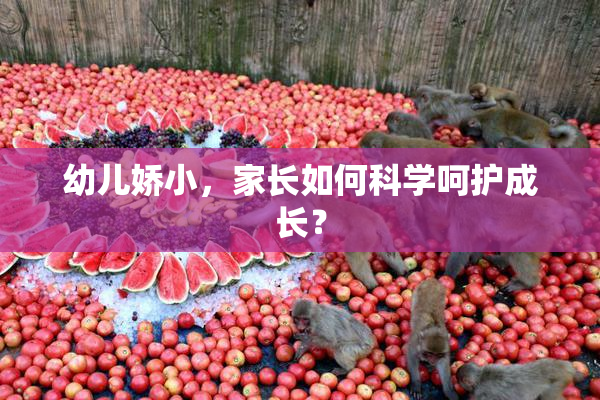 幼儿娇小，家长如何科学呵护成长？