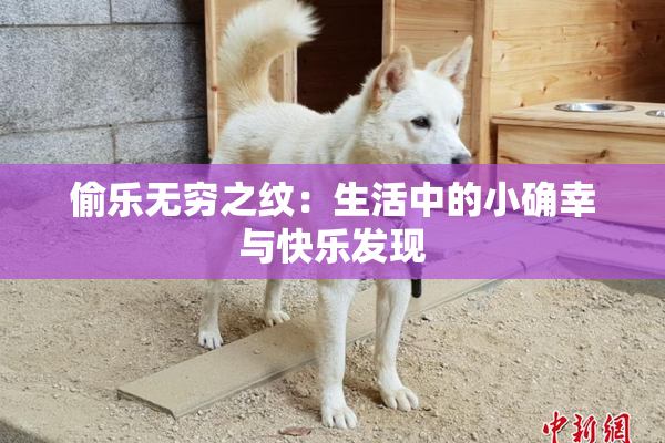 偷乐无穷之纹：生活中的小确幸与快乐发现