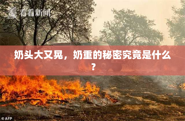 奶头大又晃，奶重的秘密究竟是什么？