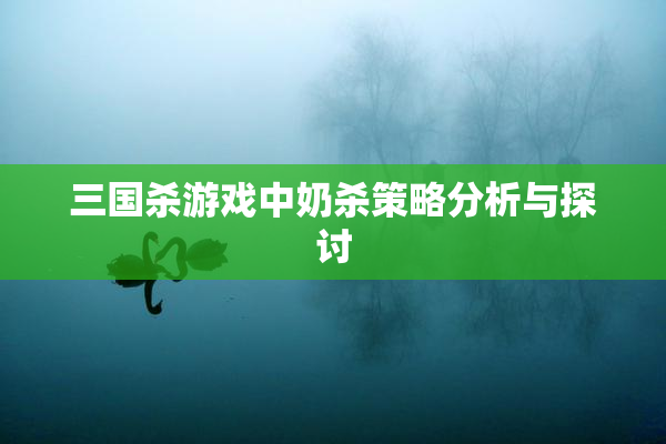 三国杀游戏中奶杀策略分析与探讨