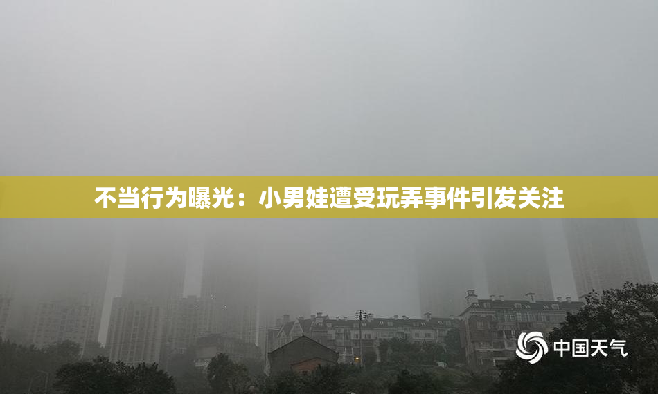 不当行为曝光：小男娃遭受玩弄事件引发关注
