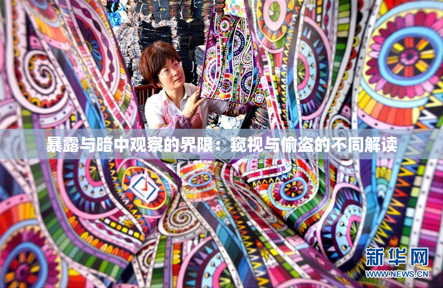 暴露与暗中观察的界限：窥视与偷盗的不同解读