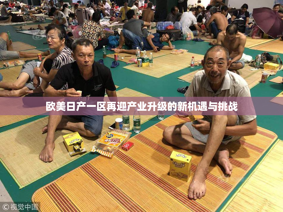 欧美日产一区再迎产业升级的新机遇与挑战