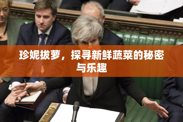 珍妮拔萝，探寻新鲜蔬菜的秘密与乐趣