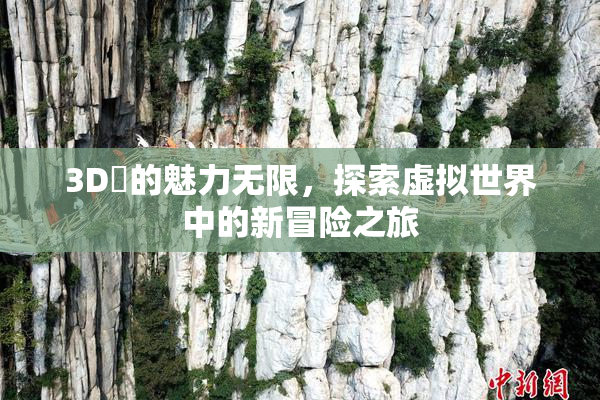 3D姉的魅力无限，探索虚拟世界中的新冒险之旅