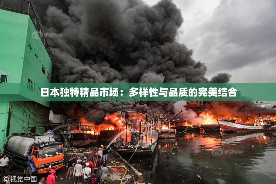 日本独特精品市场：多样性与品质的完美结合