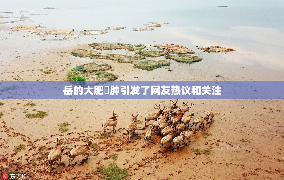 岳的大肥坹肿引发了网友热议和关注
