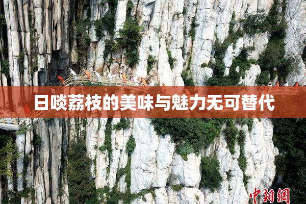日啖荔枝的美味与魅力无可替代