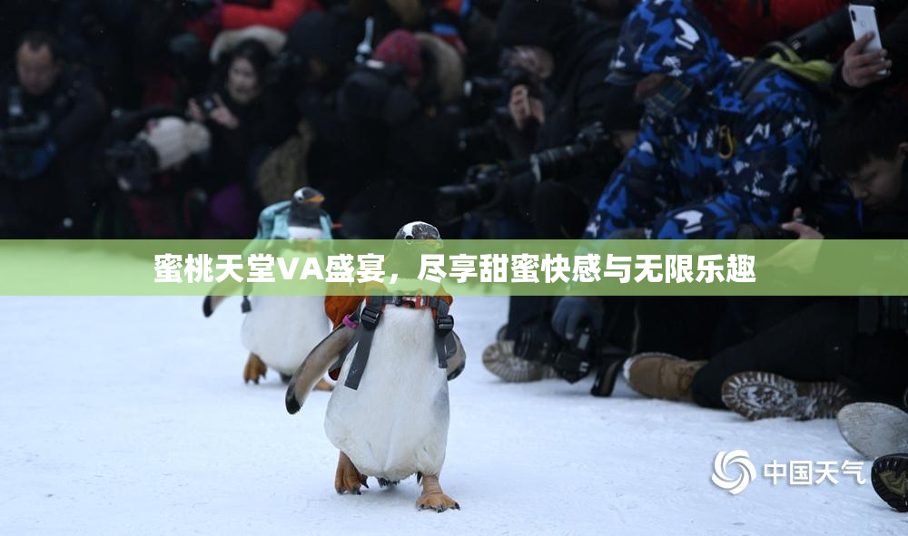 蜜桃天堂VA盛宴，尽享甜蜜快感与无限乐趣