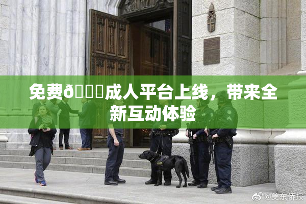 免费🔞成人平台上线，带来全新互动体验