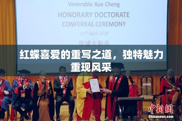 红蝶喜爱的重写之道，独特魅力重现风采