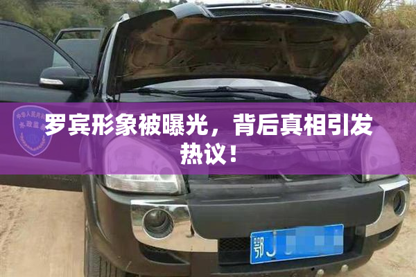 罗宾形象被曝光，背后真相引发热议！