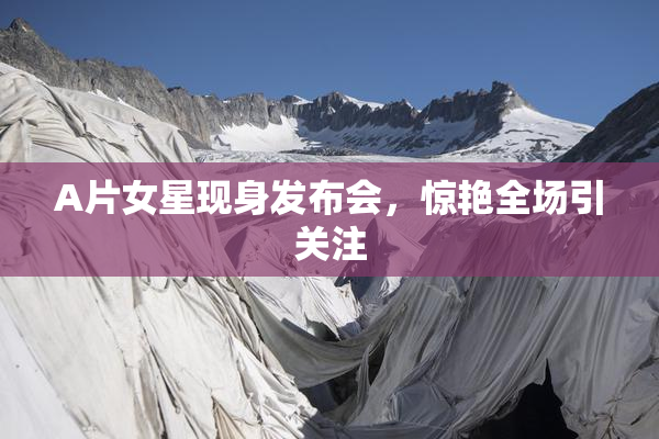 A片女星现身发布会，惊艳全场引关注