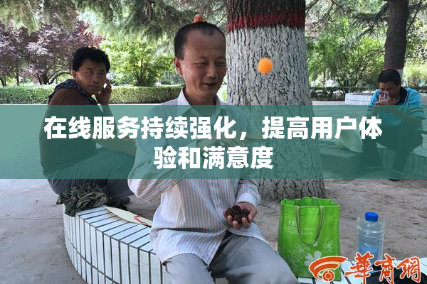 在线服务持续强化，提高用户体验和满意度