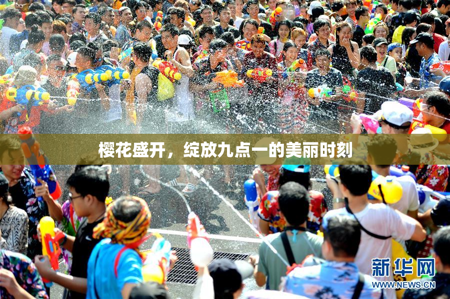 樱花盛开，绽放九点一的美丽时刻