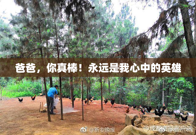 爸爸，你真棒！永远是我心中的英雄
