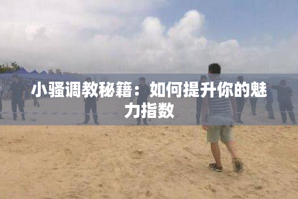 小骚调教秘籍：如何提升你的魅力指数