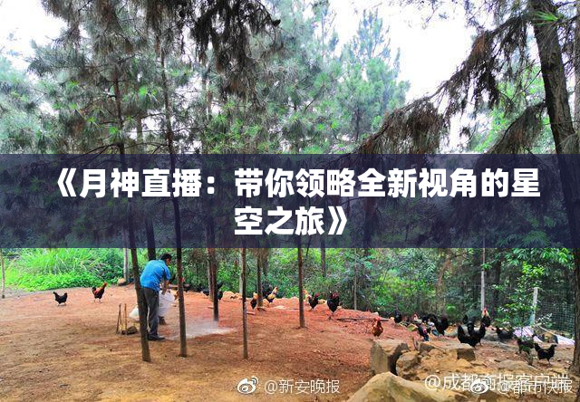 《月神直播：带你领略全新视角的星空之旅》