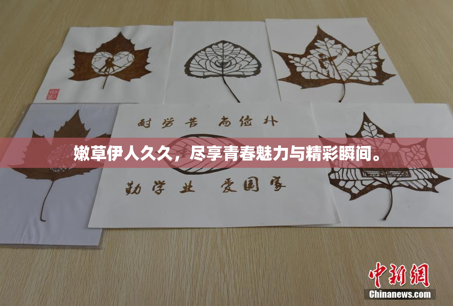 嫩草伊人久久，尽享青春魅力与精彩瞬间。