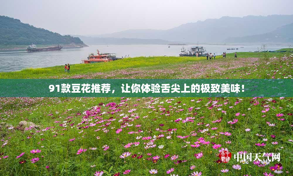 91款豆花推荐，让你体验舌尖上的极致美味！