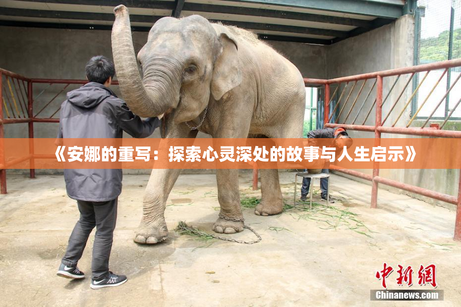 《安娜的重写：探索心灵深处的故事与人生启示》