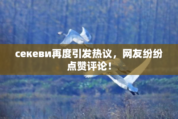 ceкеви再度引发热议，网友纷纷点赞评论！