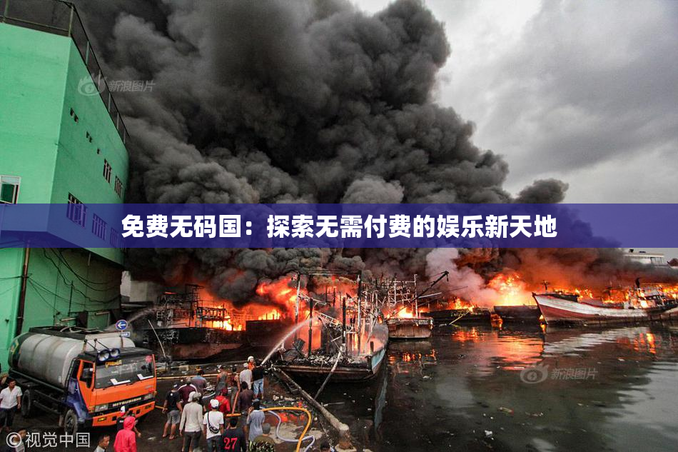 免费无码国：探索无需付费的娱乐新天地