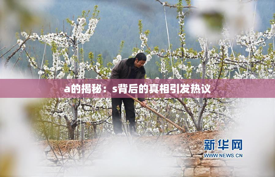 a的揭秘：s背后的真相引发热议