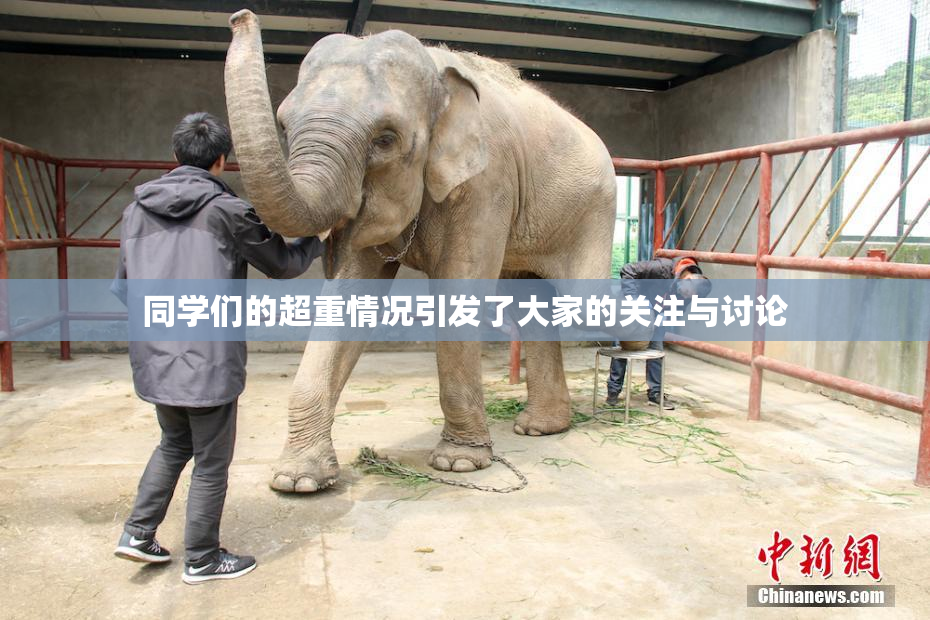 同学们的超重情况引发了大家的关注与讨论