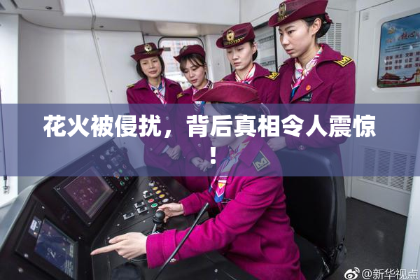 花火被侵扰，背后真相令人震惊！