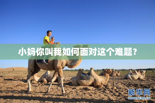小妈你叫我如何面对这个难题？