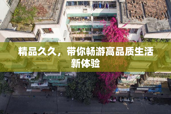 精品久久，带你畅游高品质生活新体验