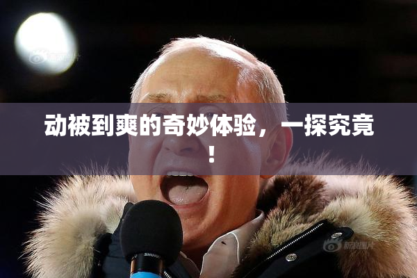 动被到爽的奇妙体验，一探究竟！