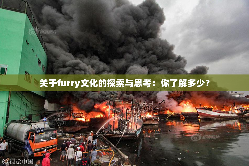 关于furry文化的探索与思考：你了解多少？