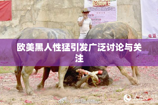 欧美黑人性猛引发广泛讨论与关注