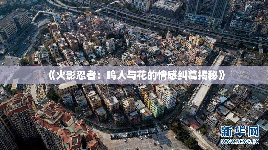 《火影忍者：鸣人与花的情感纠葛揭秘》