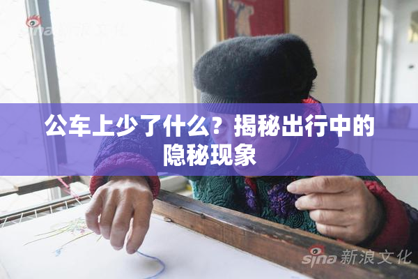 公车上少了什么？揭秘出行中的隐秘现象