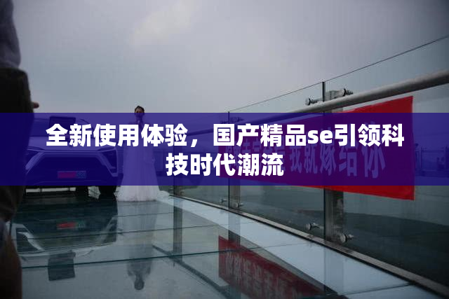 全新使用体验，国产精品se引领科技时代潮流