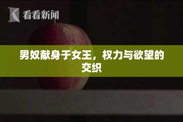男奴献身于女王，权力与欲望的交织