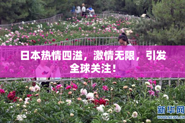 日本热情四溢，激情无限，引发全球关注！