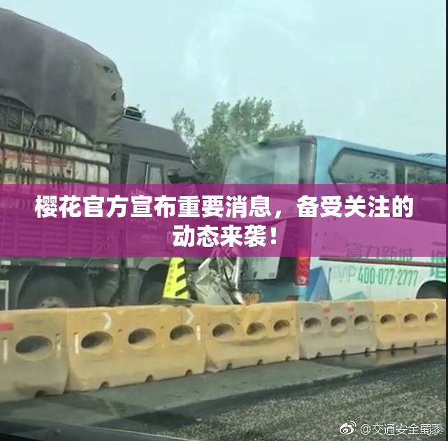 樱花官方宣布重要消息，备受关注的动态来袭！