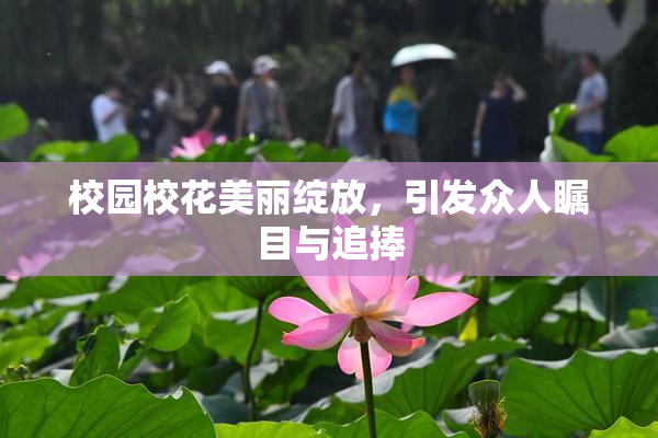 校园校花美丽绽放，引发众人瞩目与追捧