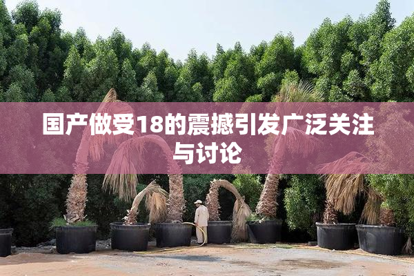 国产做受18的震撼引发广泛关注与讨论