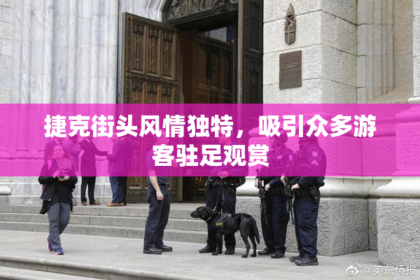 捷克街头风情独特，吸引众多游客驻足观赏